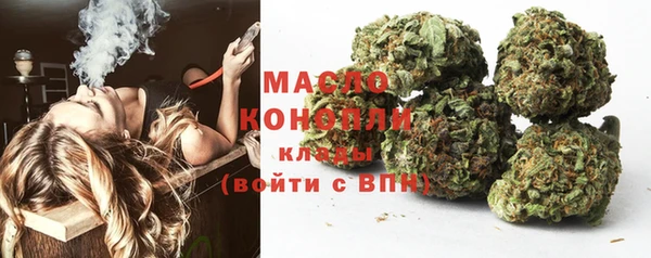 МДПВ Ельня
