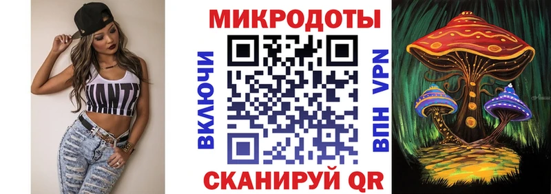 Галлюциногенные грибы Psilocybine cubensis  Светогорск 