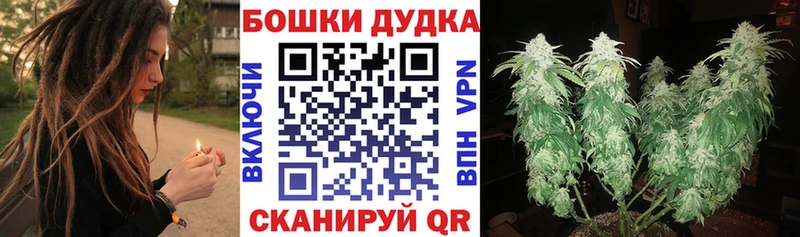 Конопля White Widow  цена   Светогорск 